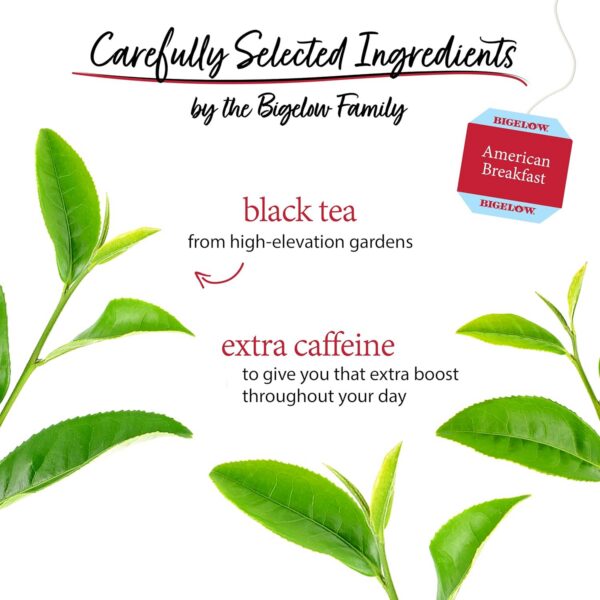 Bigelow American Breakfast Black Tea Bags, 20 Count Box (Pack of 6) Caffeinated Black Tea, 120 Tea Bags Total - Image 3