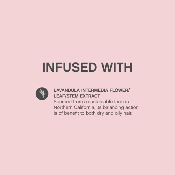 KEVIN.MURPHY ANTI.GRAVITY - Volumising & Texturising Lotion - For All Hair Types - Hair Volume, Texture & Shine - Less Flyaways - Sulphate & Paraben Free Care - 150 mL / 5.1 fl oz - Image 3